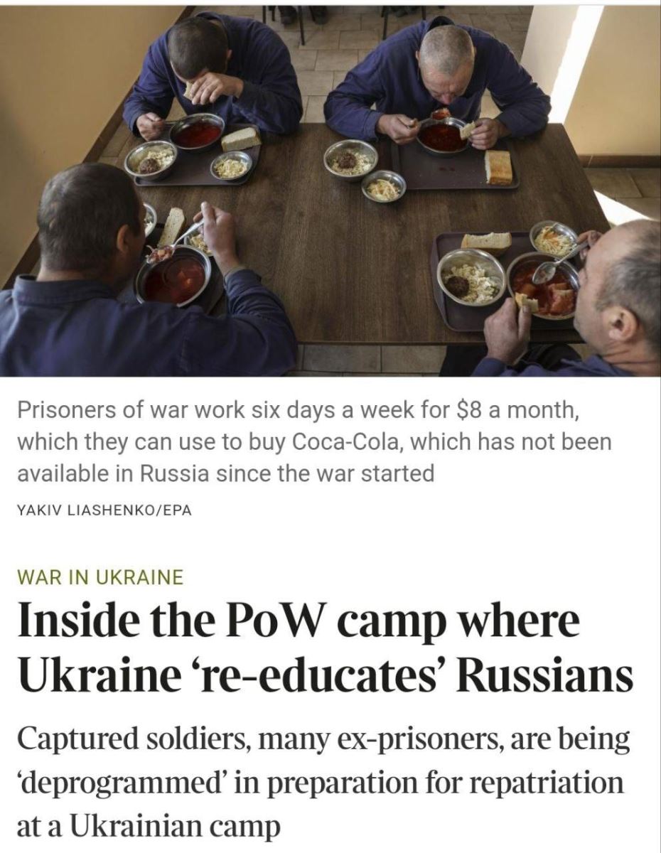 Ruští váleční zajatci, screen článku 